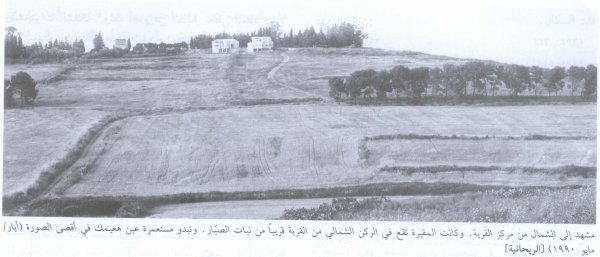 منظر للقرية المحتلة من الاتجاه الشمالي، مقبرة قرية الريحانية- حيفا خلف أشجار الصبار