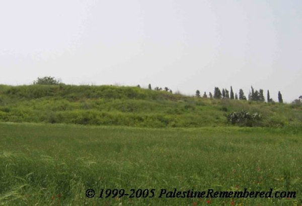  | موسوعة القرى الفلسطينية