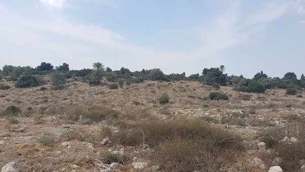  | موسوعة القرى الفلسطينية