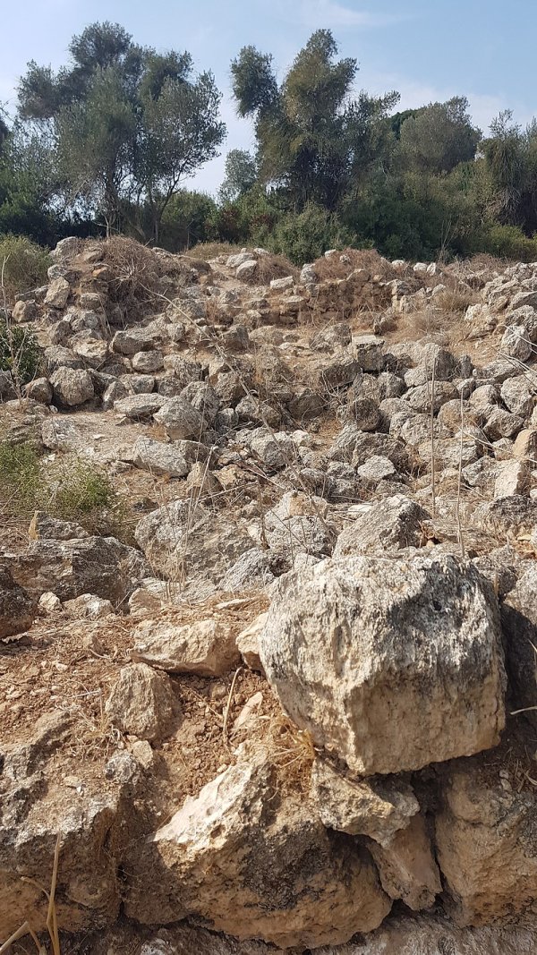  | موسوعة القرى الفلسطينية