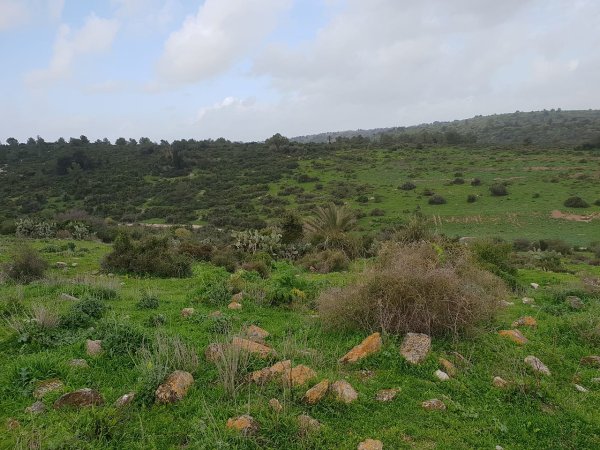  | موسوعة القرى الفلسطينية