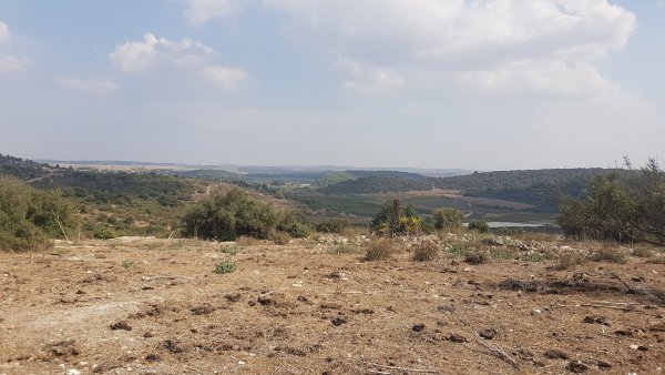  | موسوعة القرى الفلسطينية