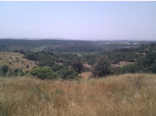  | موسوعة القرى الفلسطينية