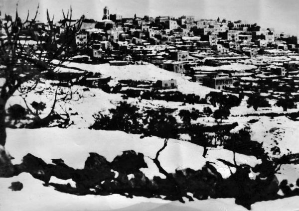 سنة الثلجة 1950 شفا عمرو سنة الثلجة 1950 شفا عمرو