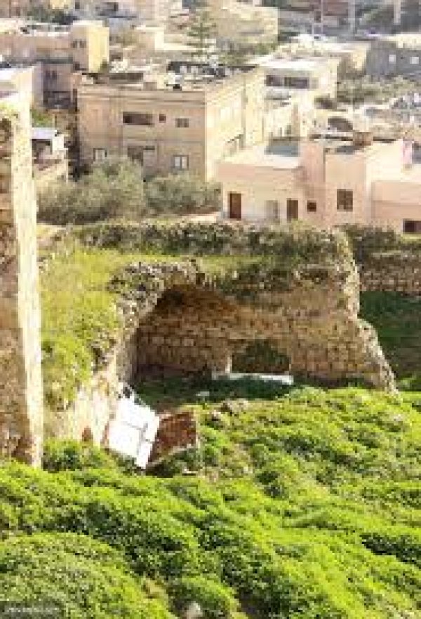 | موسوعة القرى الفلسطينية  | موسوعة القرى الفلسطينية