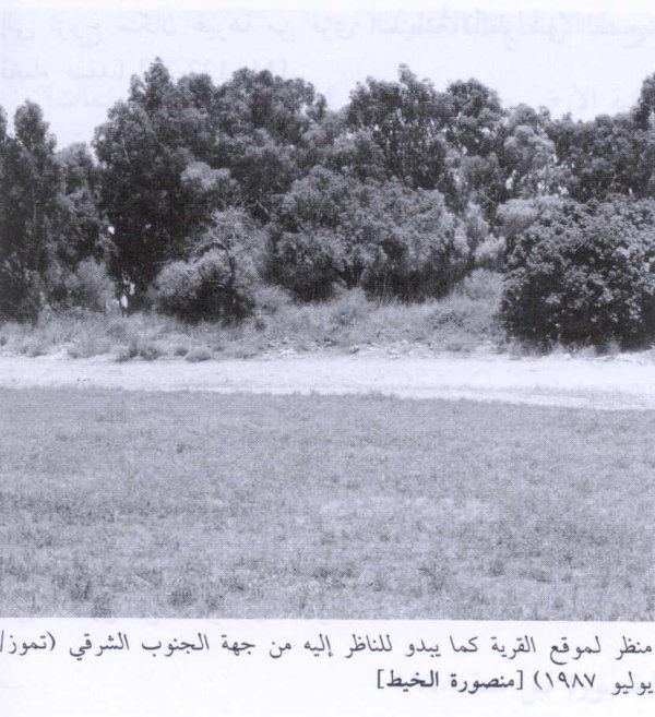 صورة للقرية عام 1987 صورة للقرية عام 1987