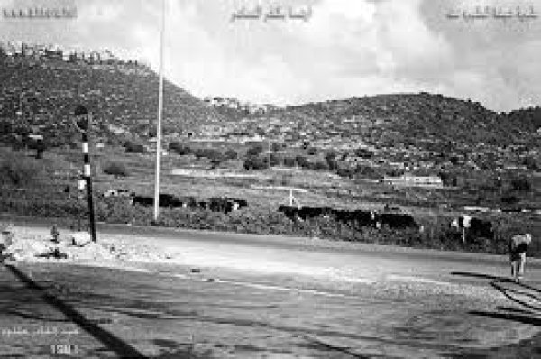 طيرة الكرمل طيرة الكرمل