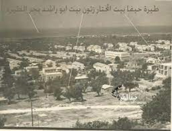 طيرة الكرمل طيرة الكرمل