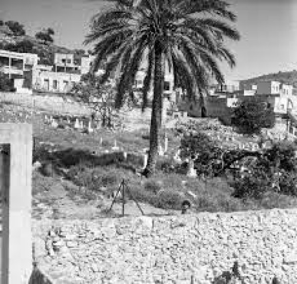طيرة الكرمل طيرة الكرمل