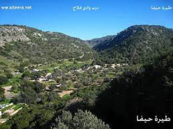 | موسوعة القرى الفلسطينية  | موسوعة القرى الفلسطينية