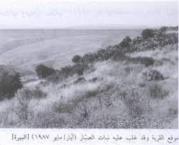 قرة البيرة المدمرة قرة البيرة المدمرة