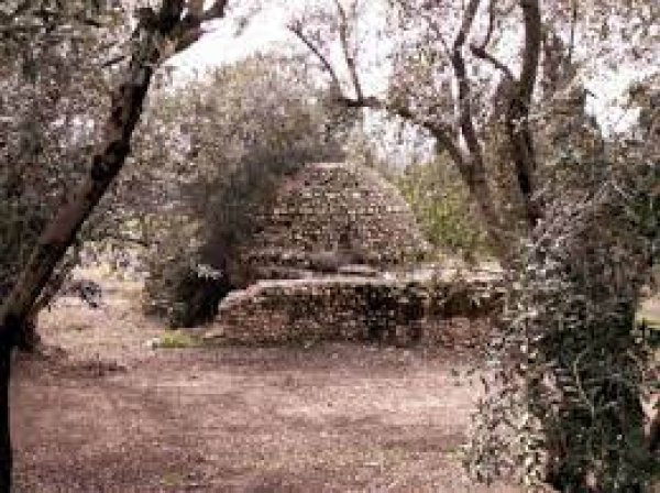 من مباني قرية البيرة