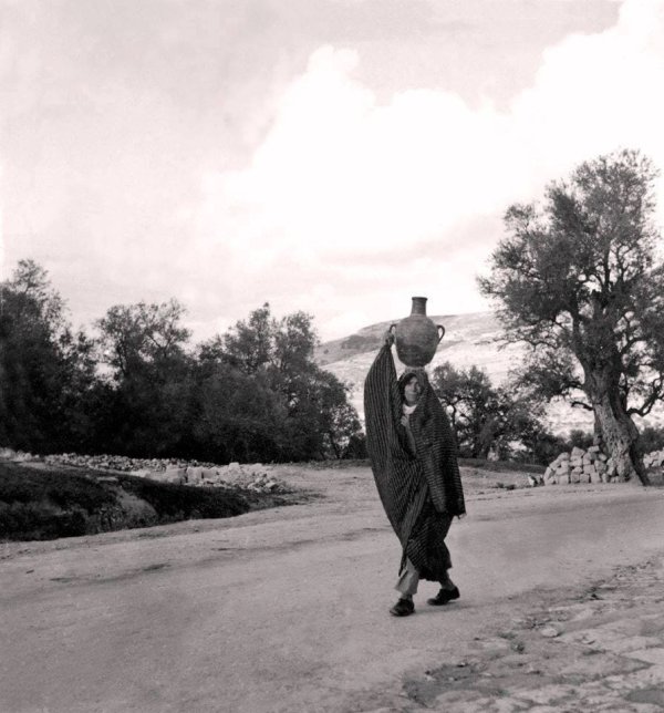 طريق القرية طريق القرية