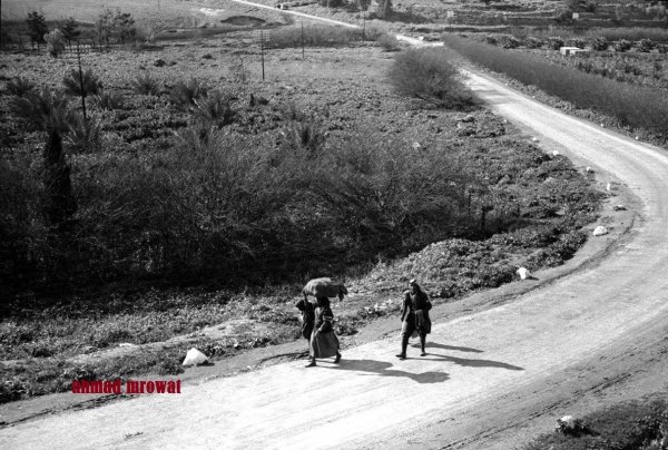 طريق القرية طريق القرية