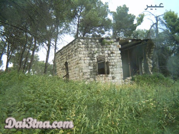 مسجد القرية