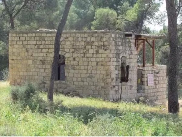 مسجد القرية