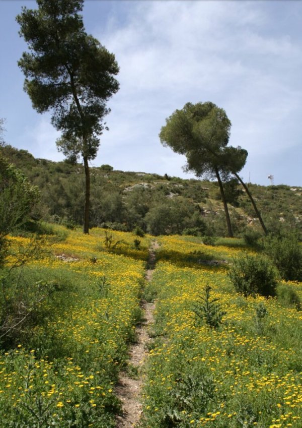 موقع القرية