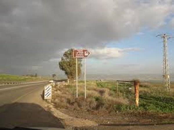 قرية الحميدية