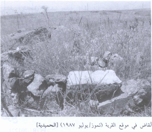 قرية الحميدية