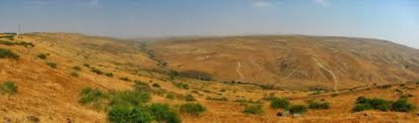 قرية الحميدية