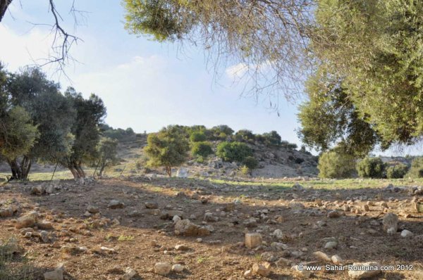 | موسوعة القرى الفلسطينية  | موسوعة القرى الفلسطينية