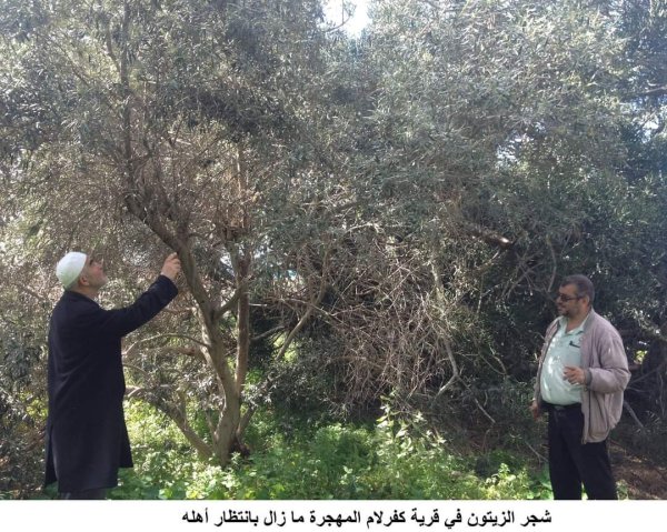  | موسوعة القرى الفلسطينية