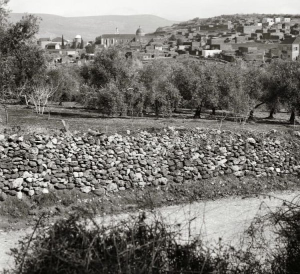 اراضي القرية