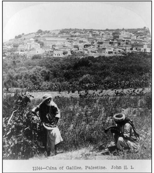 الزراعة في القرية