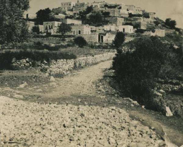 القرية قديما