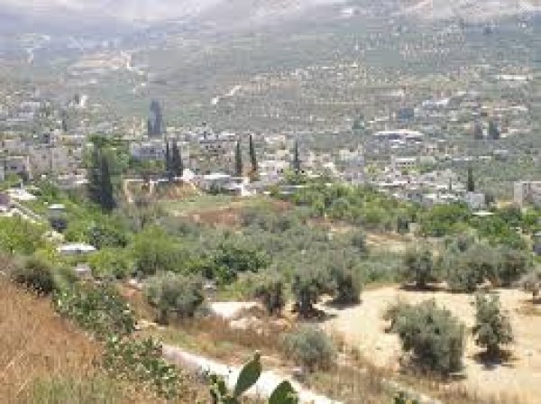 قرية الدوايمه