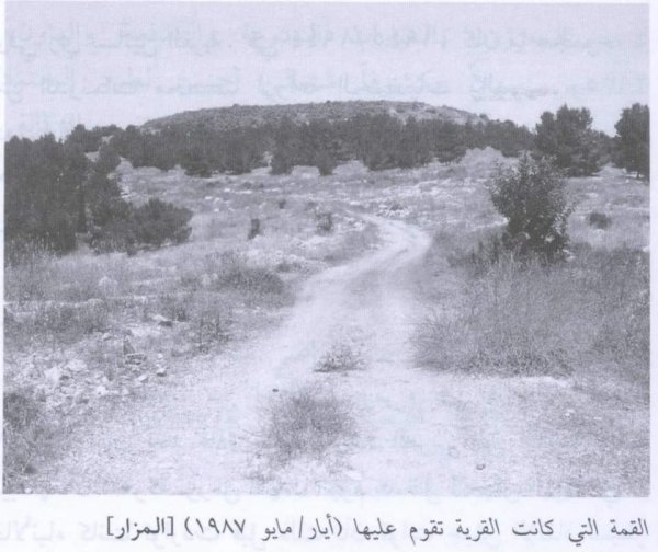 قرية المزار قرية المزار