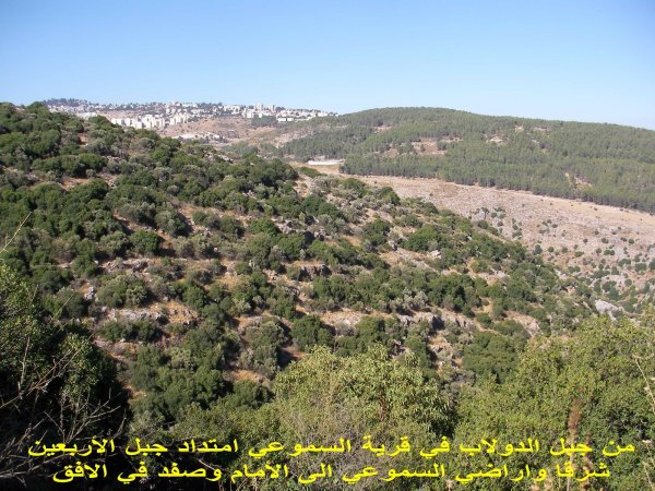 قرية سموعي/ المصدر: ابن القرية أغيد أشقر