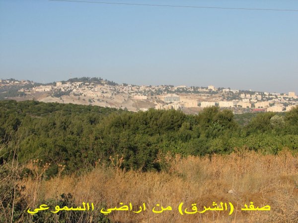 قرية سموعي/ المصدر: ابن القرية أغيد أشقر