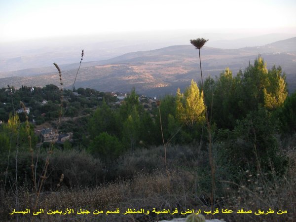 قرية سموعي/ المصدر: ابن القرية أغيد أشقر