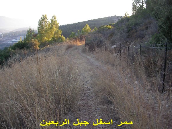 قرية سموعي/ المصدر: ابن القرية أغيد أشقر