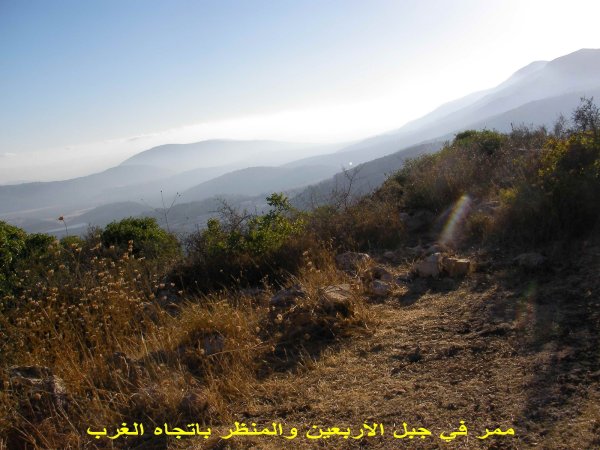 قرية سموعي/ المصدر: ابن القرية أغيد أشقر