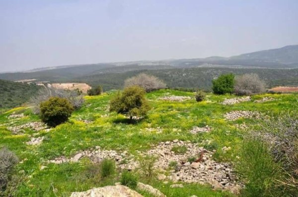  | موسوعة القرى الفلسطينية