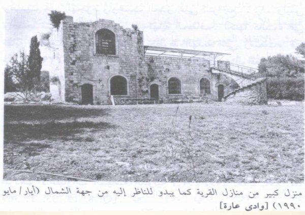 قرية وادي عارة قرية وادي عارة