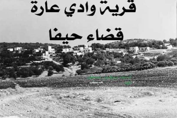 قرية وادي عارة قرية وادي عارة