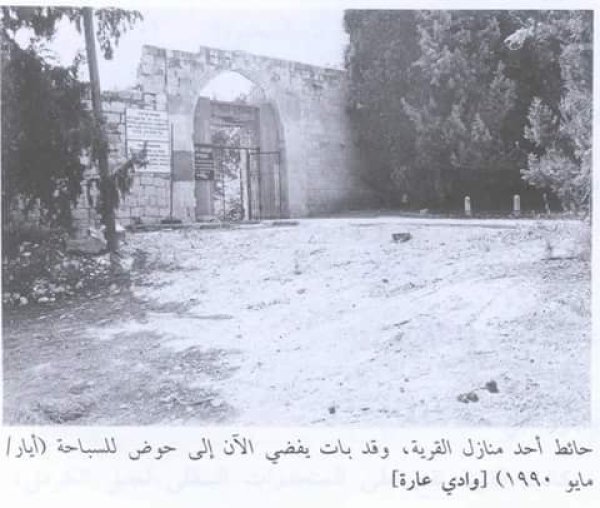 قرية وادي عارة قرية وادي عارة