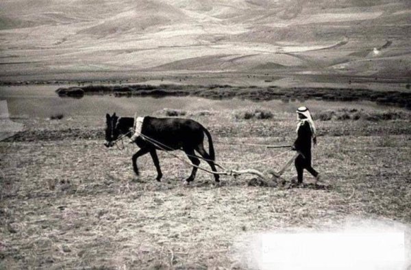 صورة قديمة في وادي عارة تعود لعام 1921 صورة قديمة في وادي عارة تعود لعام 1921