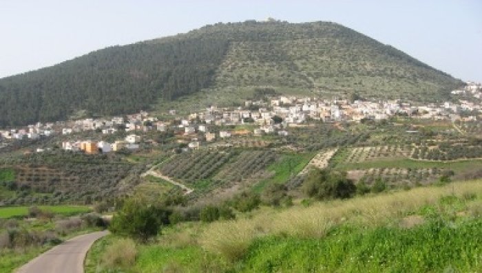 عرب الشبلي/أم الغنم  | موسوعة القرى الفلسطينية