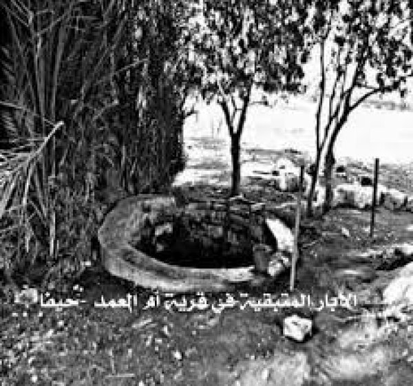 قرية أم العمد قرية أم العمد