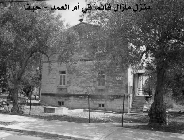 منازل ما زالت قائمة في قرية أم العمد منازل ما زالت قائمة في قرية أم العمد