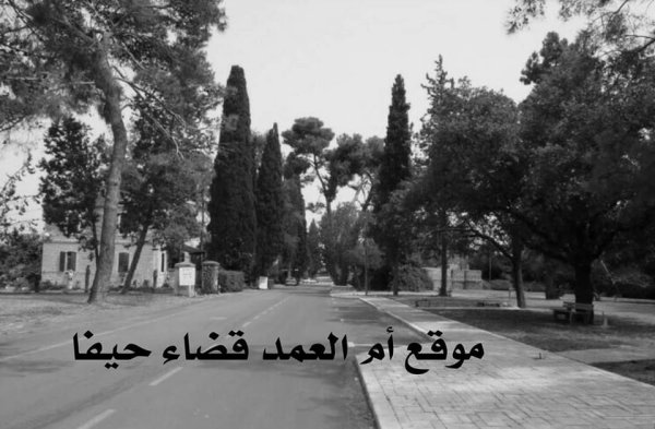 قرية أم العمد قرية أم العمد