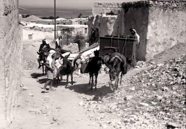 | موسوعة القرى الفلسطينية  | موسوعة القرى الفلسطينية
