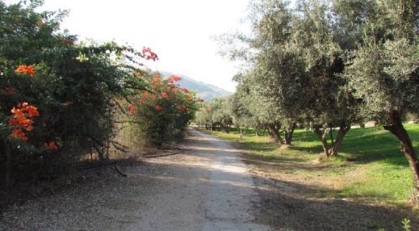 قرية الساخنة