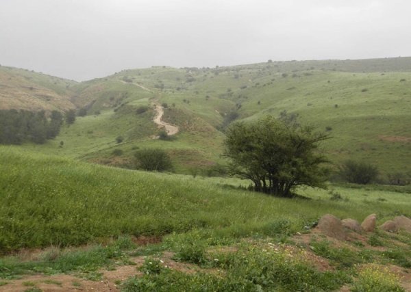  | موسوعة القرى الفلسطينية