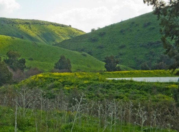  | موسوعة القرى الفلسطينية