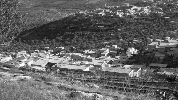 القرية عام 1950 القرية عام 1950